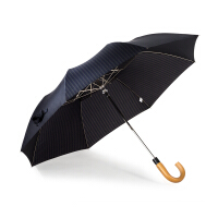 宫廷雨伞