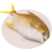 南海海鲜金鲳鱼条