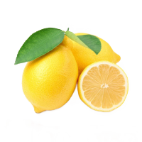 现摘黄柠檬
