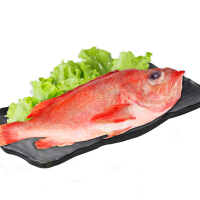 红海鲜石斑鱼条