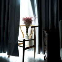 窗帘客厅现代