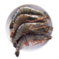 鲜活斑节老虎虾