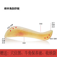 天然绵羊角