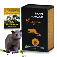 KopiLuwak