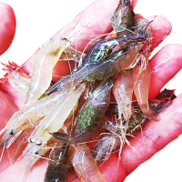 斑节青虾