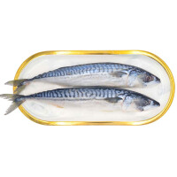 袋装海鲜鲭鱼
