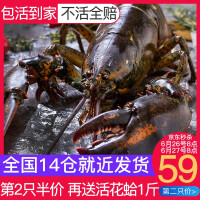 火锅海鲜大龙虾