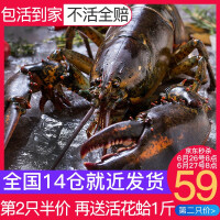 上海周边吃海鲜