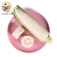 台湾玉米