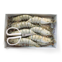 青岛海鲜老虎虾