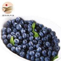 蓝莓中国