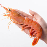鲜活海鲜红虾
