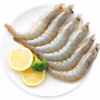 活鲜海鲜白虾