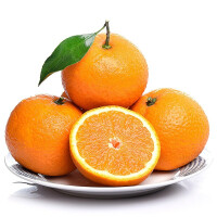 蒲丑橘