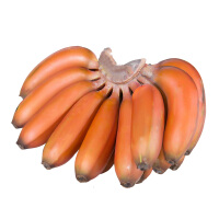 红皮东方香蕉