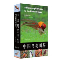 中国鸟类