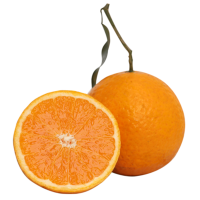 甜橘子