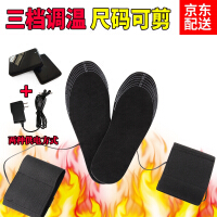 电热鞋垫充电调温