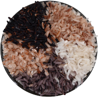 糙米米种植