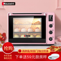 海氏（Hauswirt）电烤箱