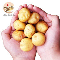 中国马铃薯