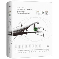 小苍解说螳螂