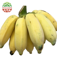 高州米蕉