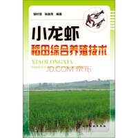 小龙虾养殖稻田