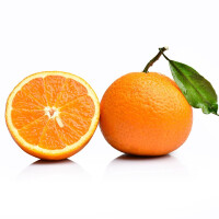 柑橘橙电吹风