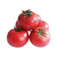 密园小农西红柿/圣女果茄果瓜类