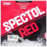 大和（TSP）