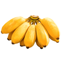 甄奇异小香蕉