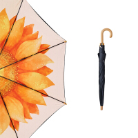 橘色直杆伞