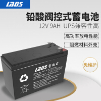 雷迪司（LADIS）UPS电池