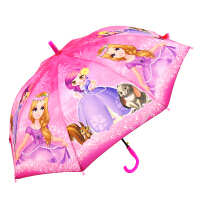 女童公主雨伞