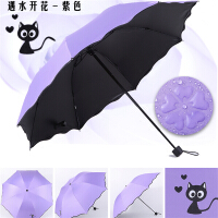 小猫雨伞