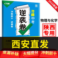 中考逆袭化学