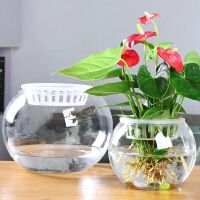 玻璃鱼缸花瓶