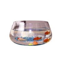 玻璃圆球鱼缸