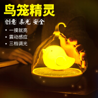 小鸟笼夜灯