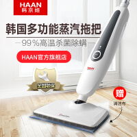 韩京姬（HAAN）厨房清洁机
