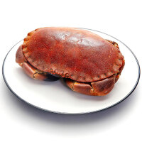 WECOOK面包蟹