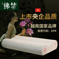 越南天然乳胶枕