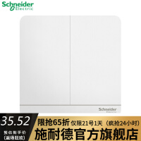 施耐德（Schneider）双开开关