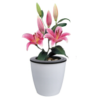 水仙花套装