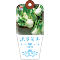 球茎茴香种子