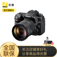 中国相机镜头