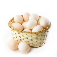 生态营养鸡蛋