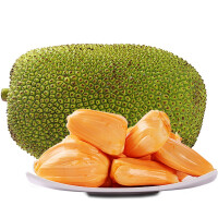 泰国干苞菠萝蜜