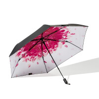 韩国自动晴雨伞